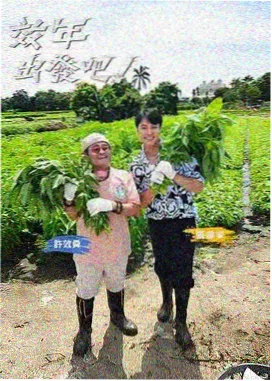 亲子综艺